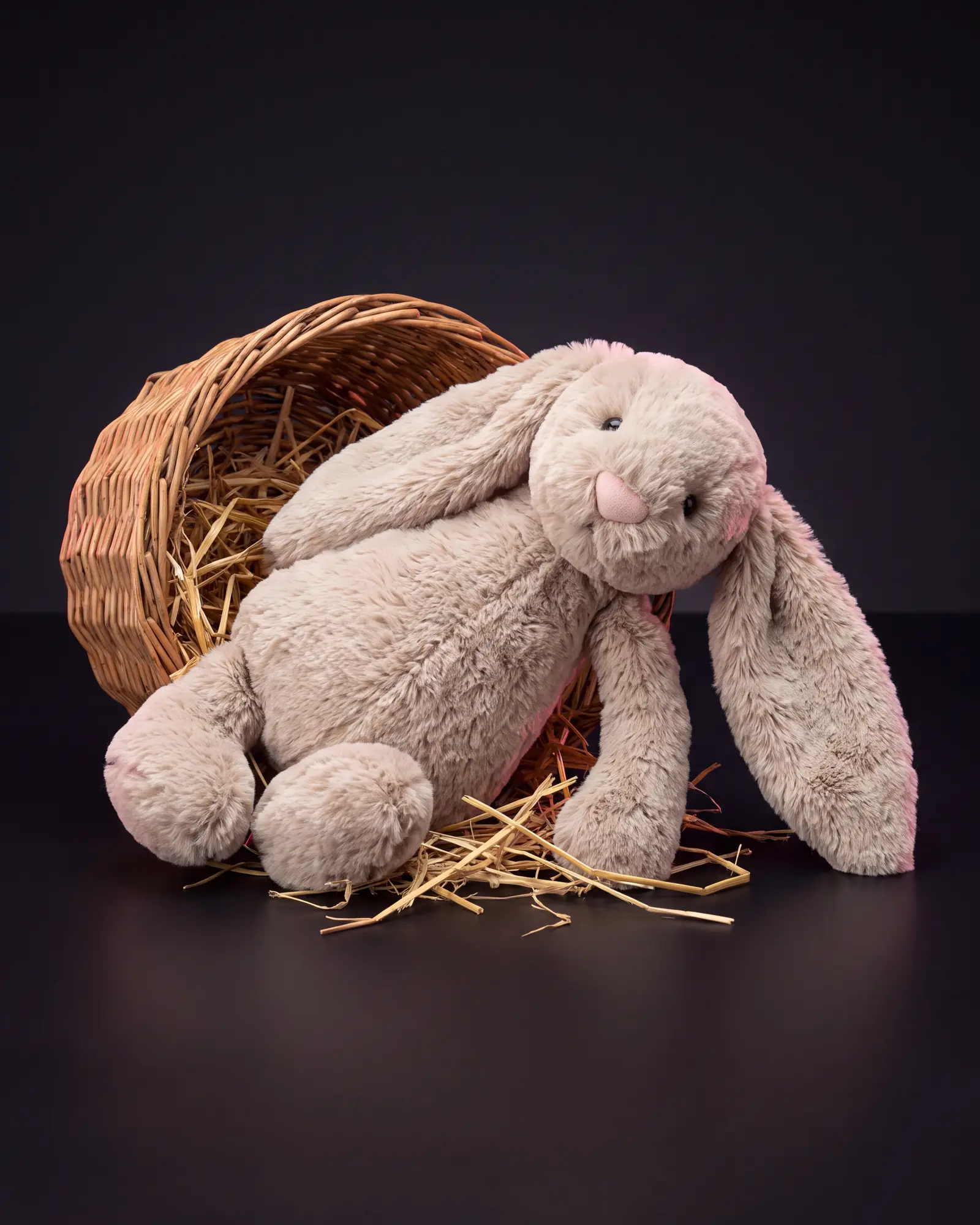 Bashful Beige Bunny, a second view.