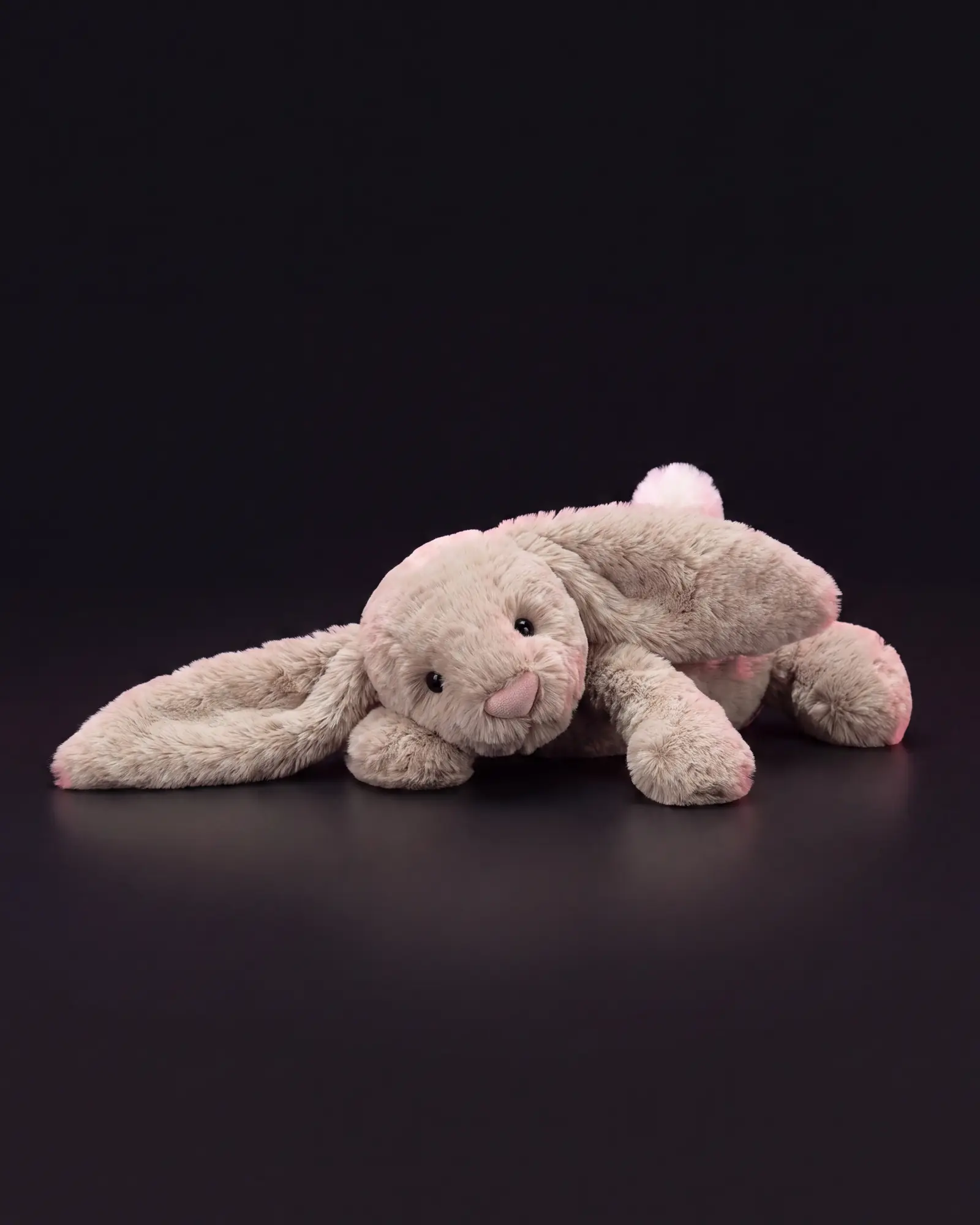 Bashful Beige Bunny on a dark studio background.