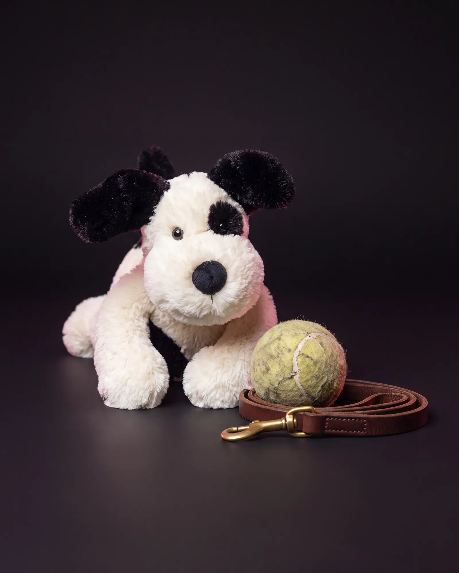 Bashful Black & Cream Puppy, a second view.