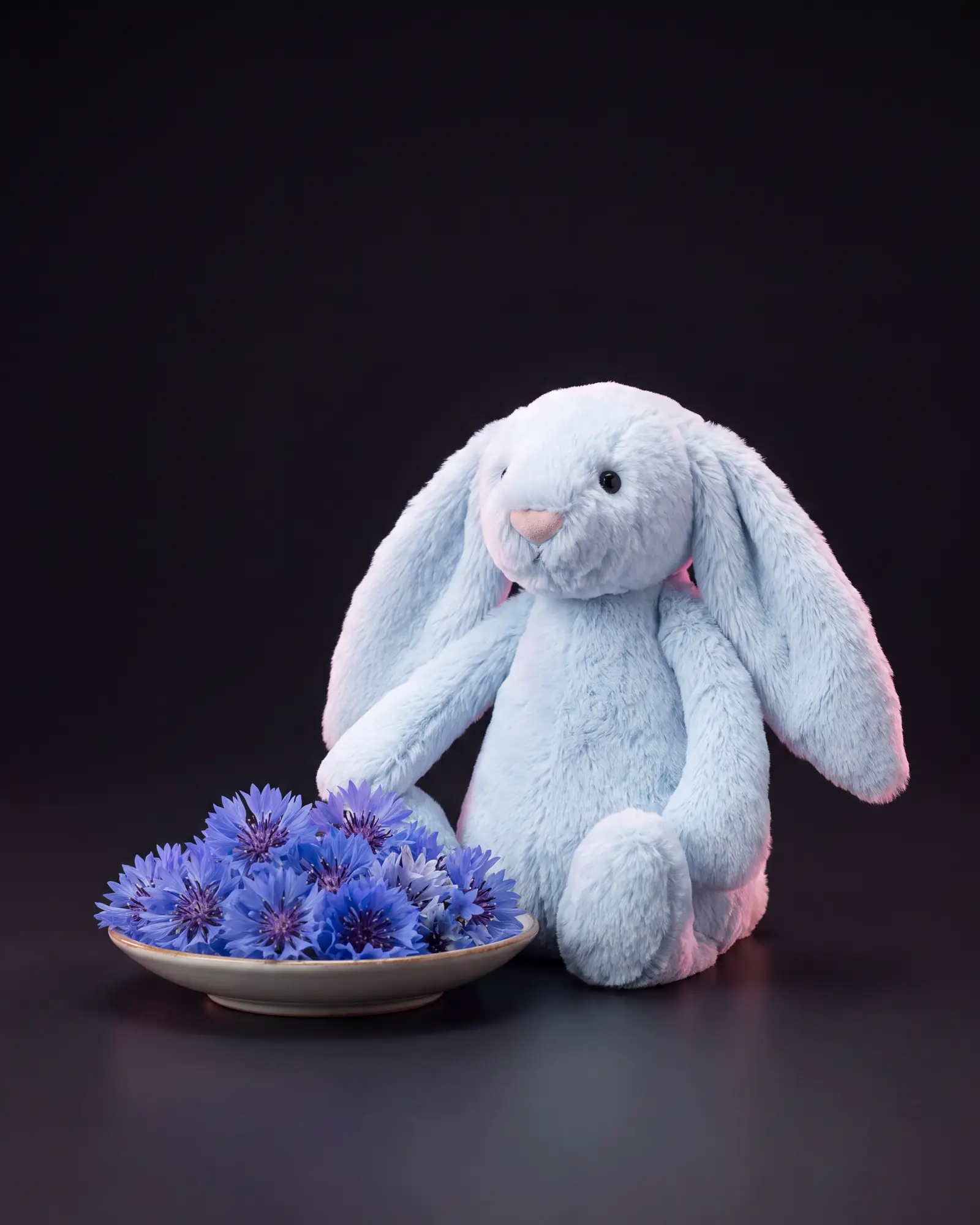 Bashful Blue Bunny, a second view.