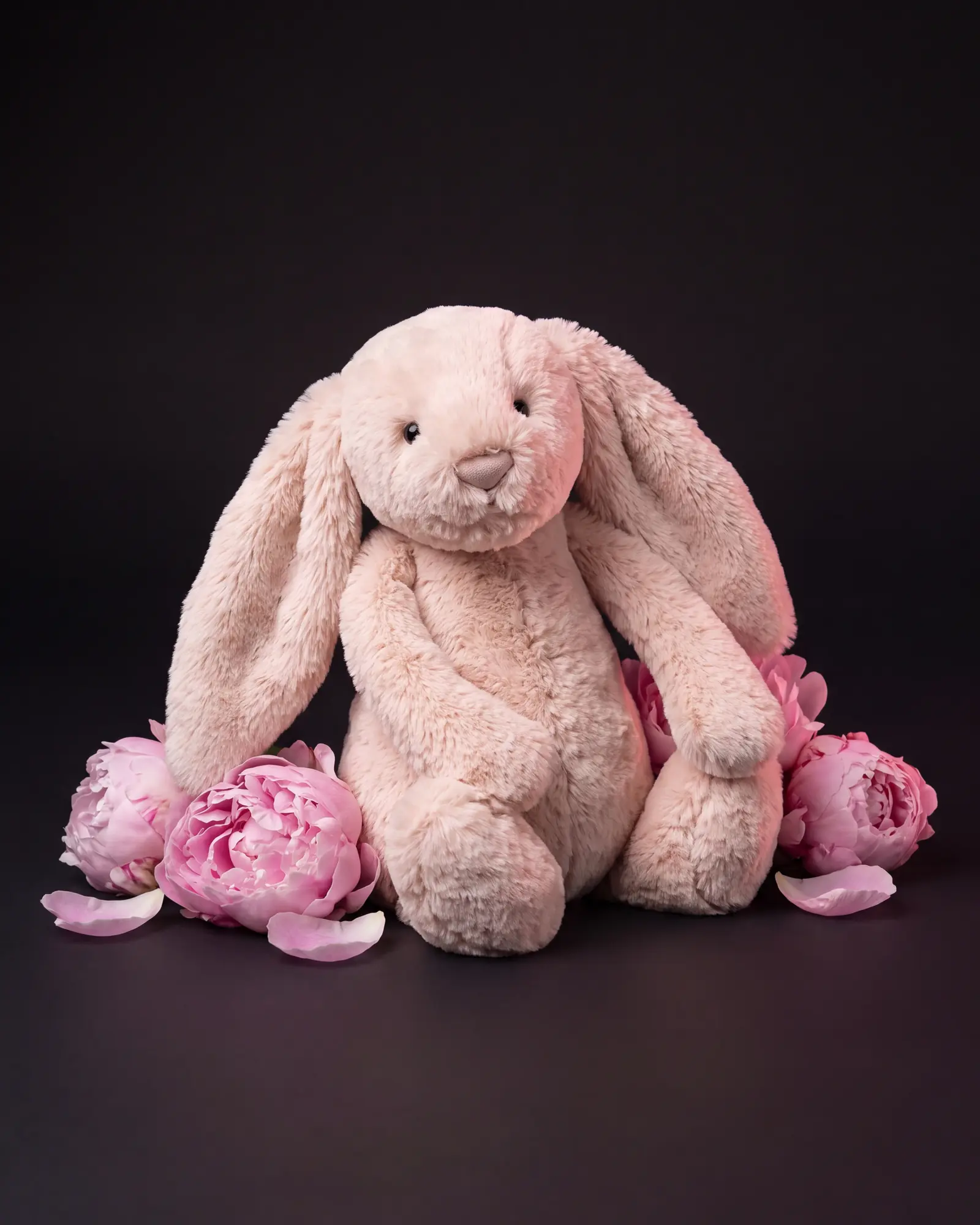 Bashful Blush Bunny, a second view.