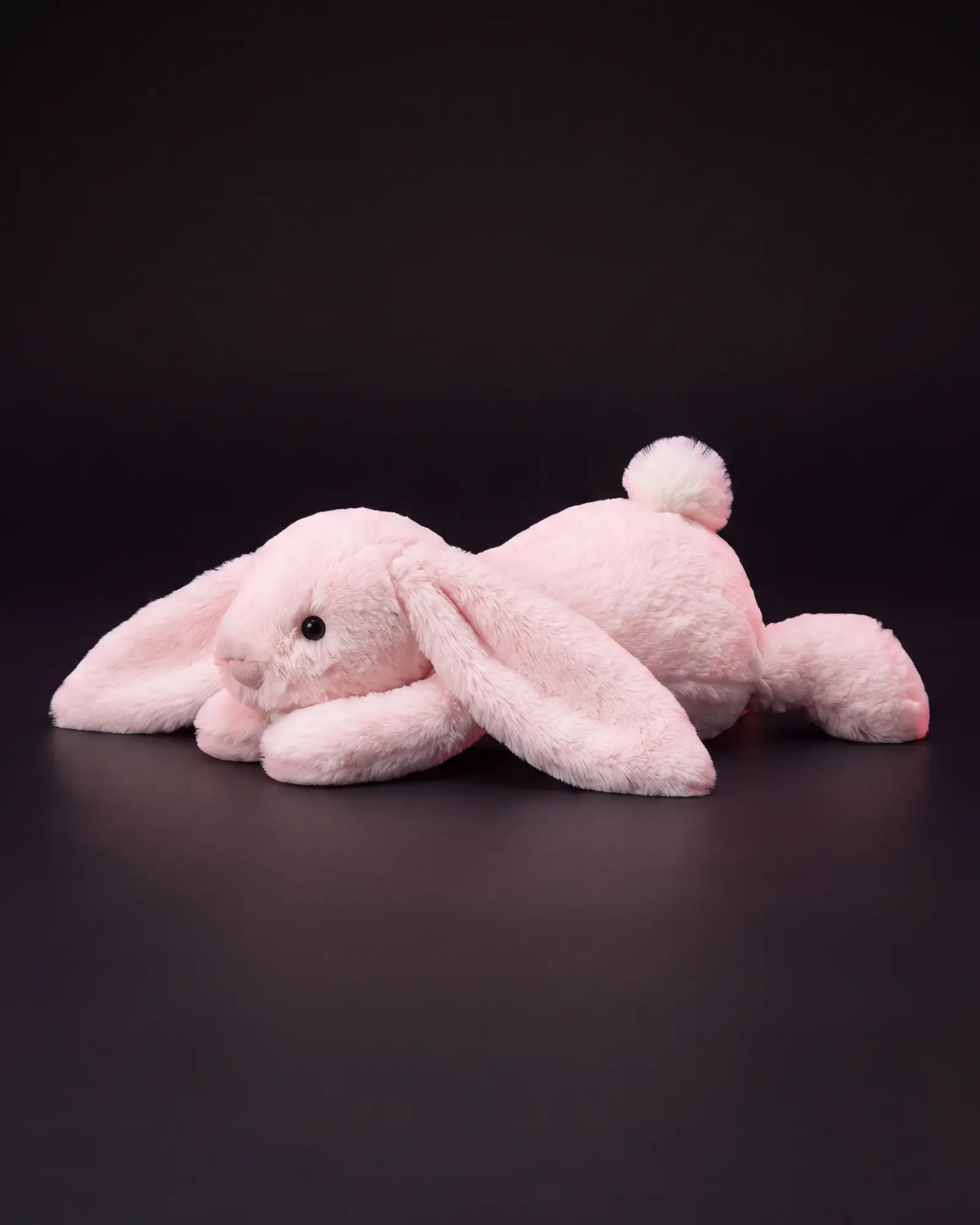 Bashful Pink Bunny on a dark studio background.