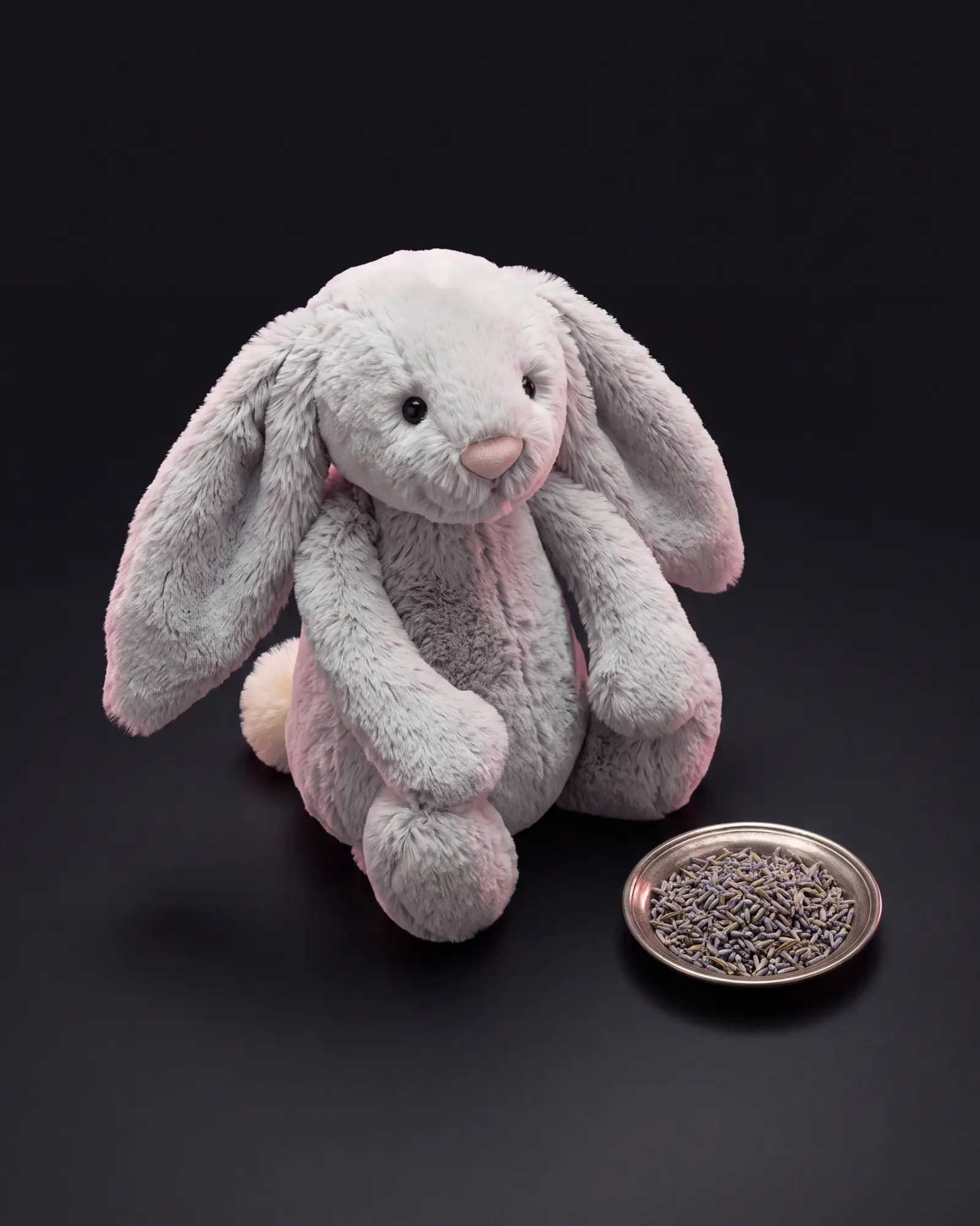 Bashful Silver Bunny, a second view.