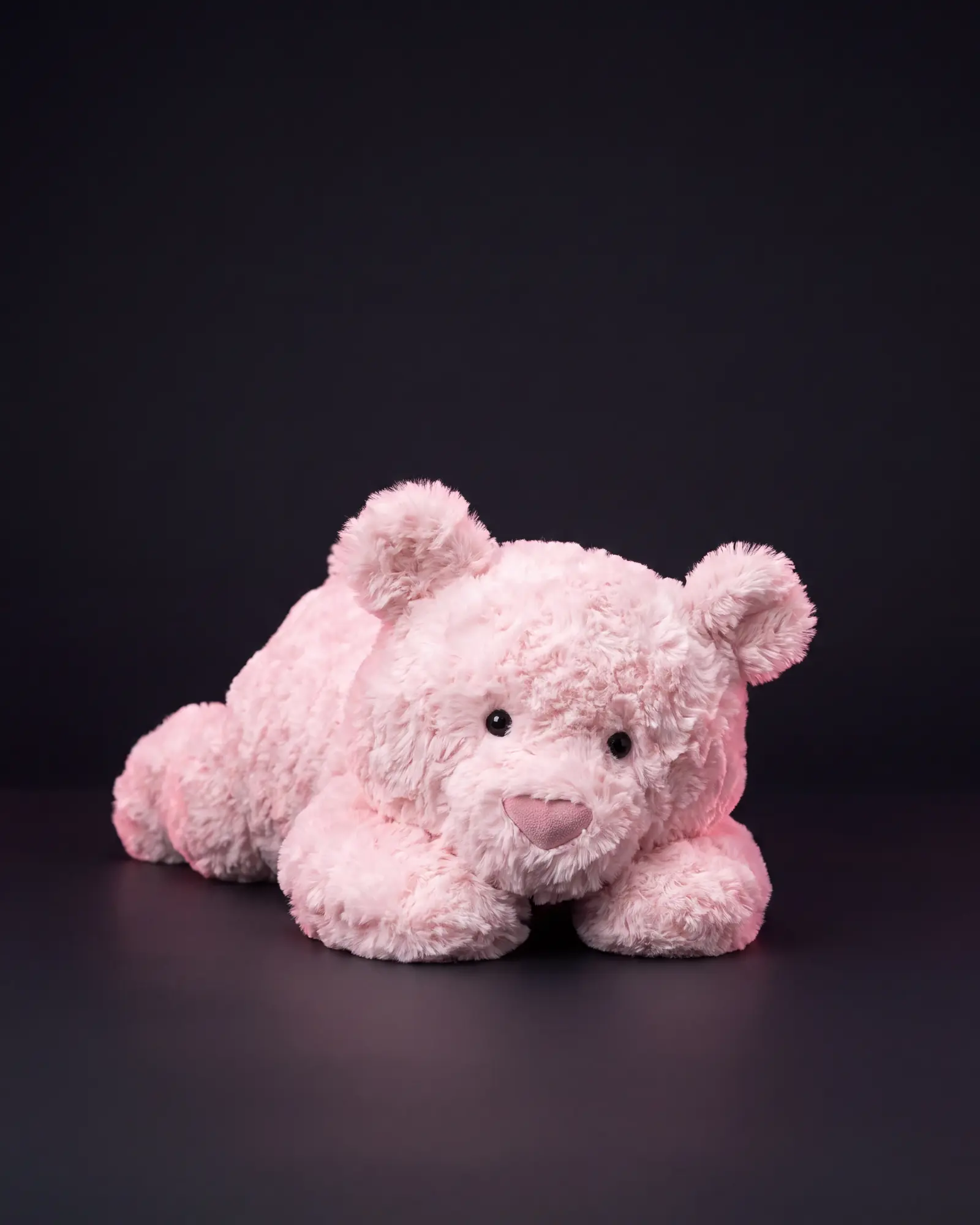 Leola Bear on a dark studio background.