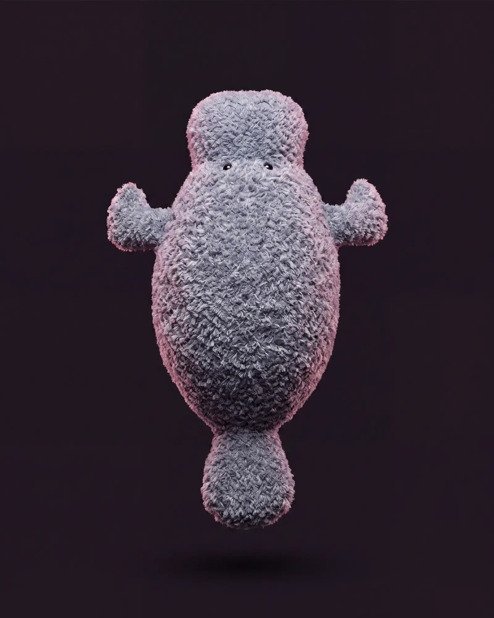 Maffles Manatee on a dark studio background.