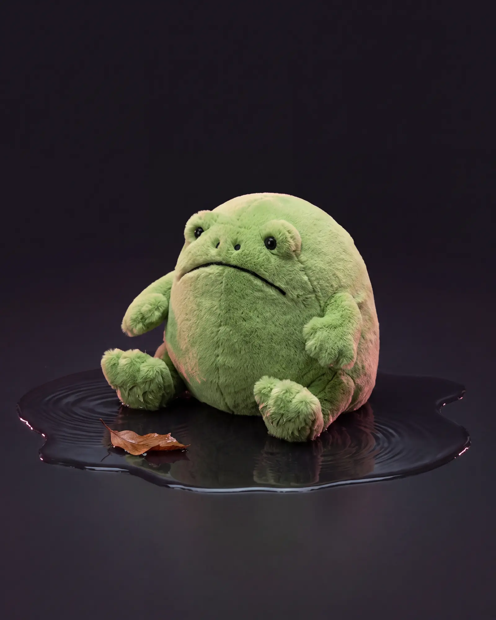 Ricky Rain Frog, a second view.