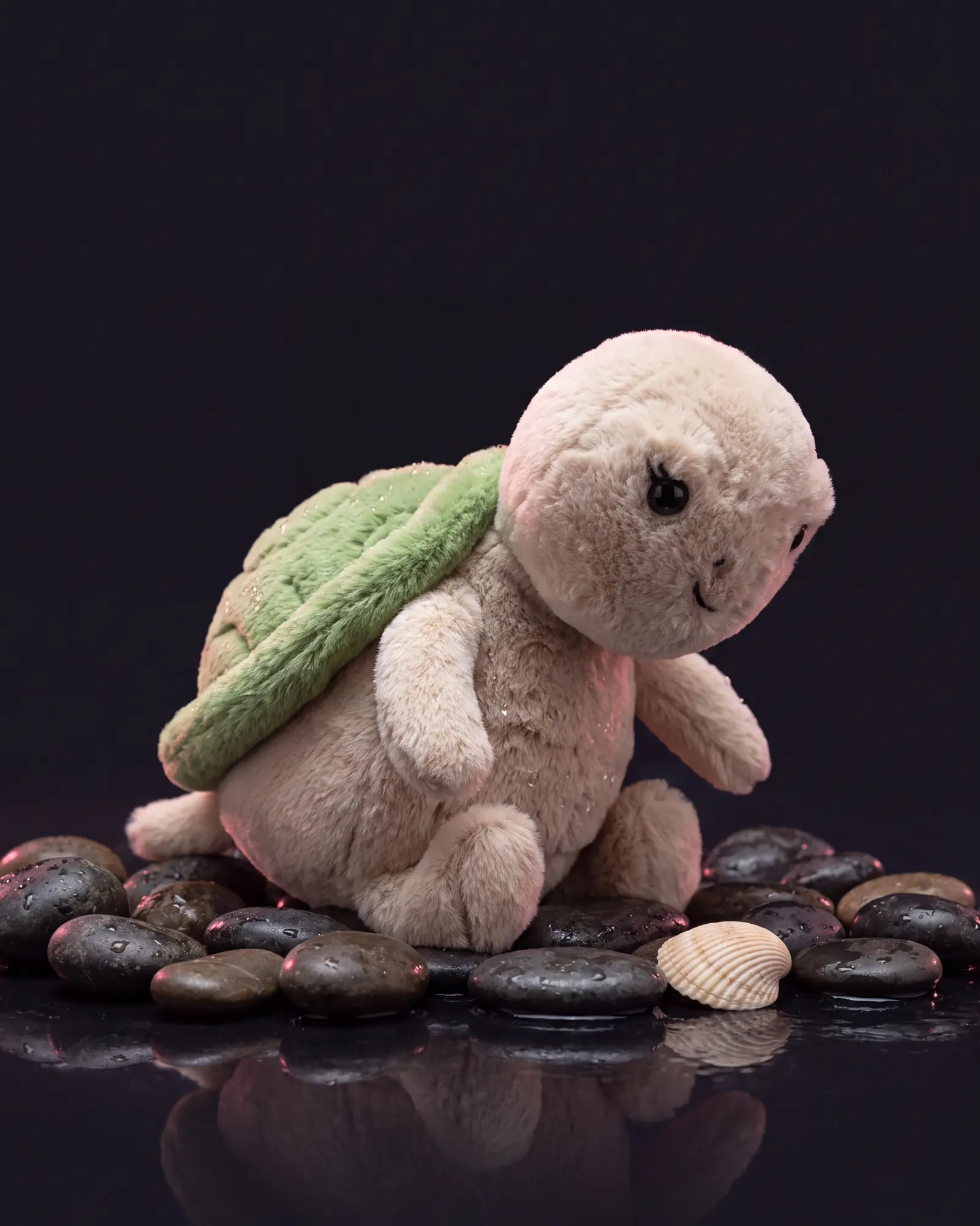 Thimble Turtle, a second view.