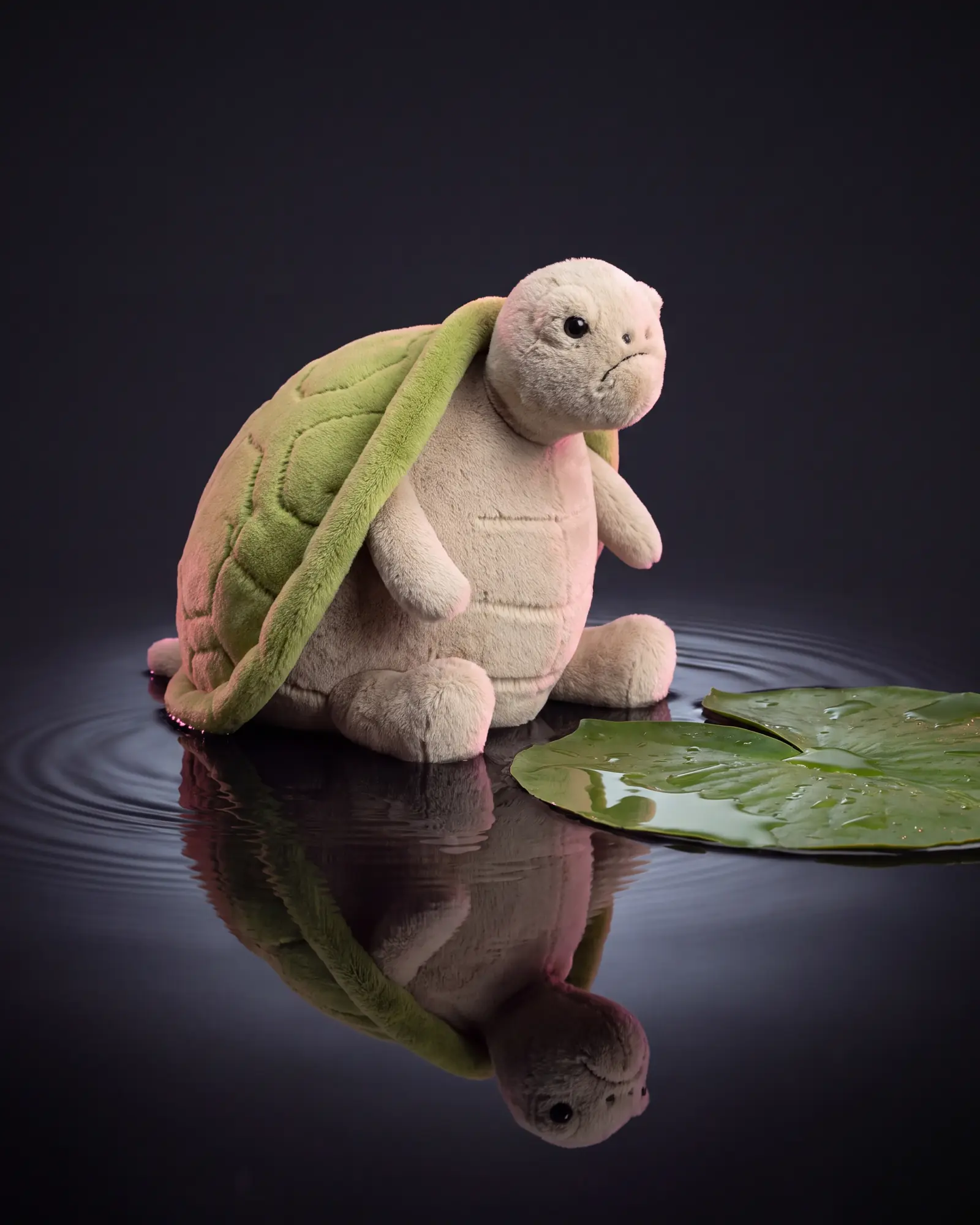 The turtle sitting in a shallow pool of dark still water, ripples spreading around it, a wet lily pad alongside.